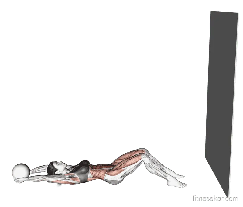 Medicine Ball Sit-Up (Wall)