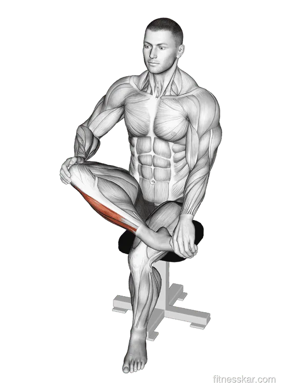 Mobilization of Ankle Stretch (Calves), Male demonstration, Start
