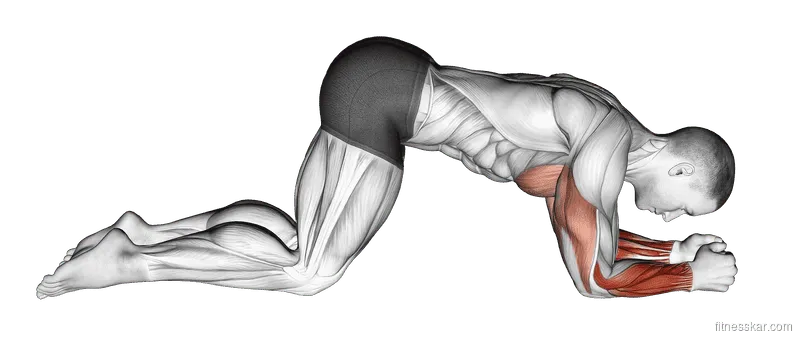 Modified Push-Up to Forearms, Male demonstration, Start
