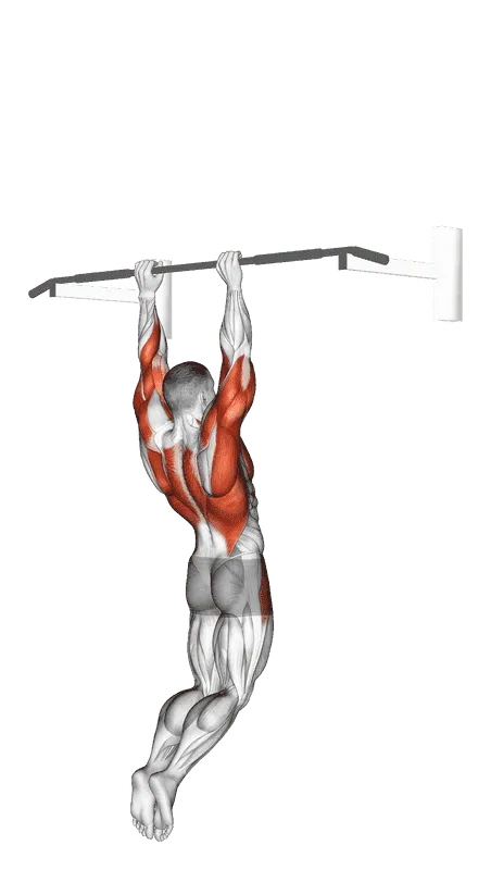 Muscle-Up (on Vertical Bar), Male demonstration, Start