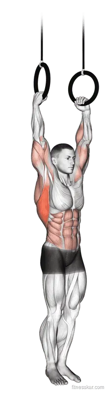 Muscle-Up, Male demonstration, Start