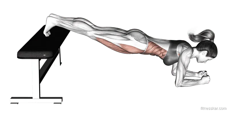 Narrow Leg Bench Bridge, Female demonstration, Start