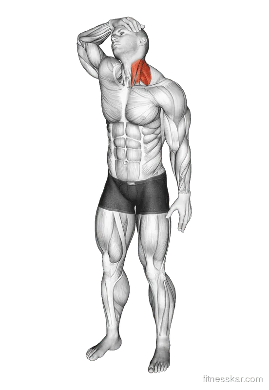 Neck Flexor and Rotational Stretch, Male demonstration, Start