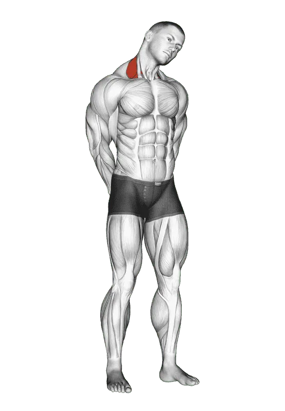 Neck Side Stretch, Male demonstration, Start