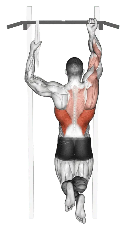 One-Arm Chin-Up