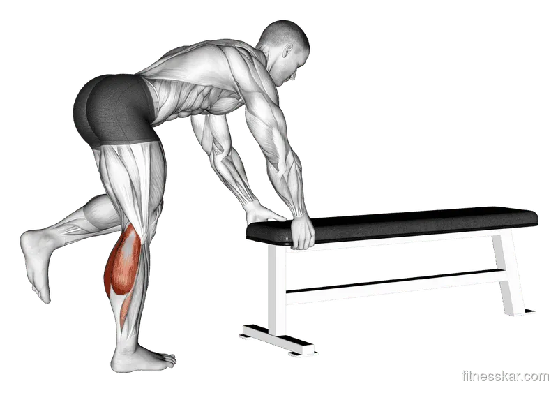 One-Leg Donkey Calf Raise