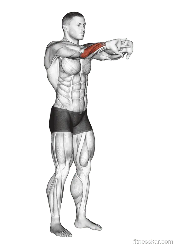 Palms-Out Forearm Stretch