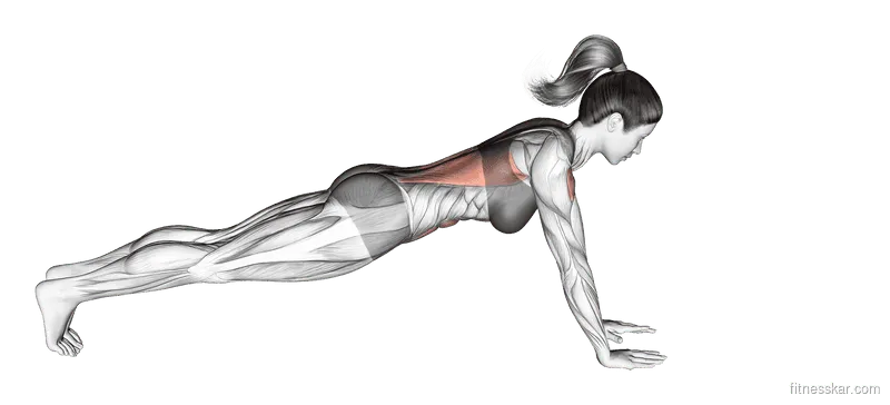 Plank Arm Lifts