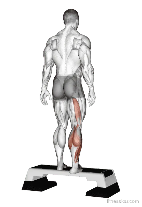 Plantar Flexor and Foot Everter Stretch