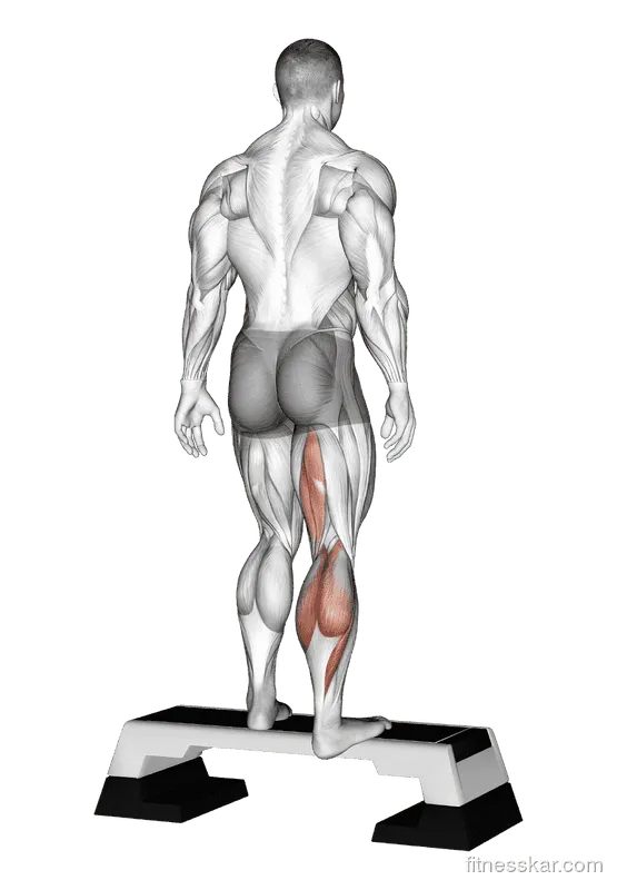 Plantar Flexor and Foot Inverter Stretch