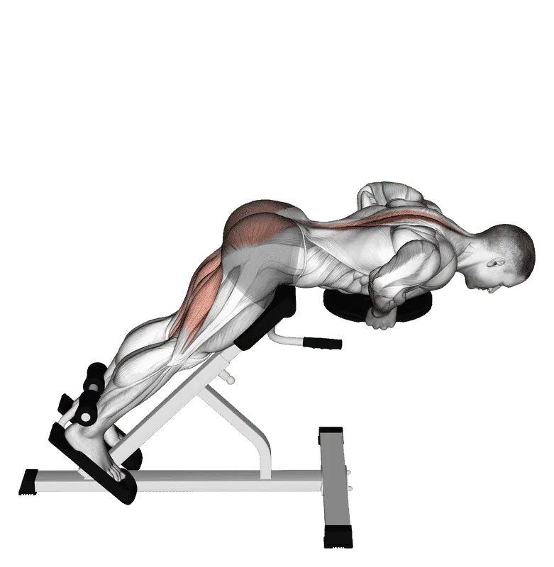 Plate Hyperextension