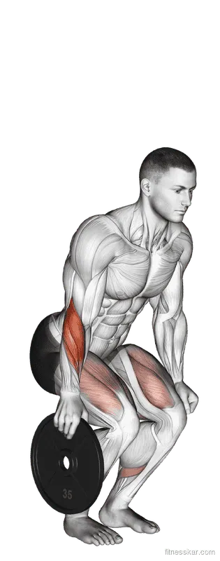 Plate Pinch