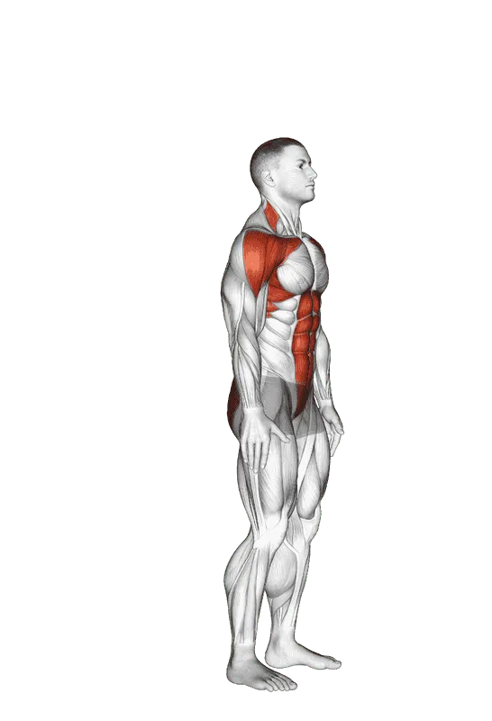 Posterior Step to Overhead Reach, Male demonstration, Start