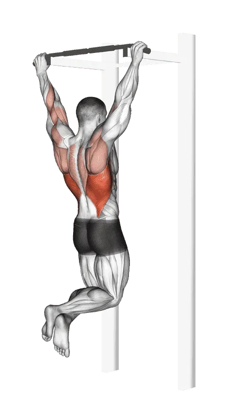 Pull-Up, Male demonstration, Start