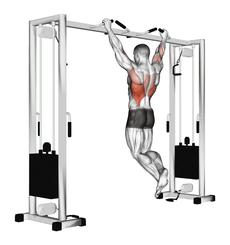 Pull-up (Neutral Grip)