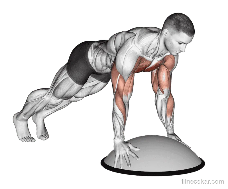 Push-Up on Bosu Ball, Male demonstration, Start