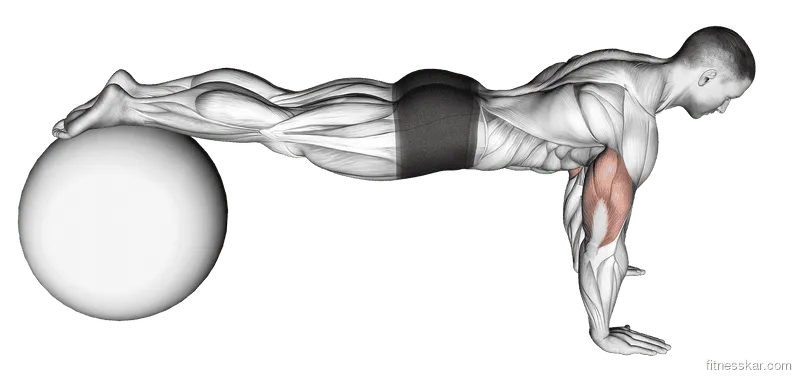 Push-Up (on Stability Ball), Male demonstration, Start