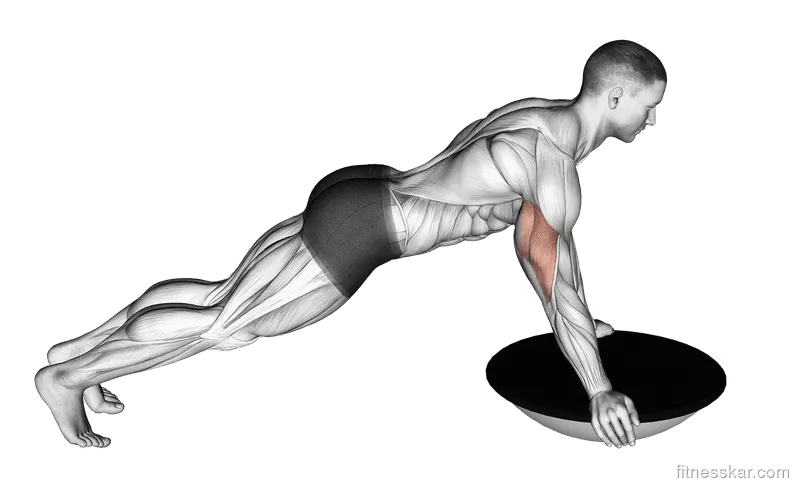 Push-up (Bosu Ball), Male demonstration, Start