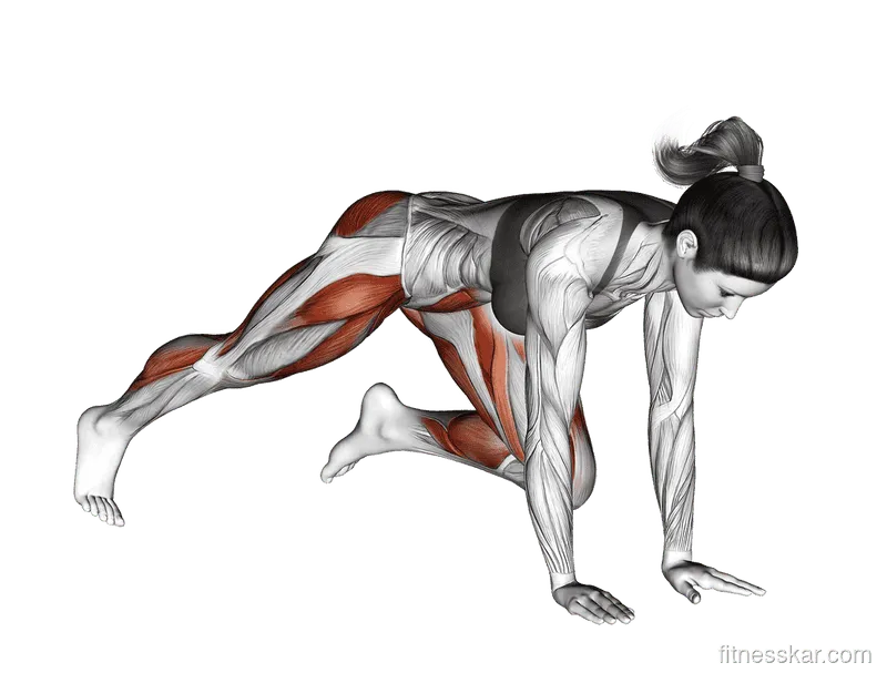 Push-up (Knee to Chest)