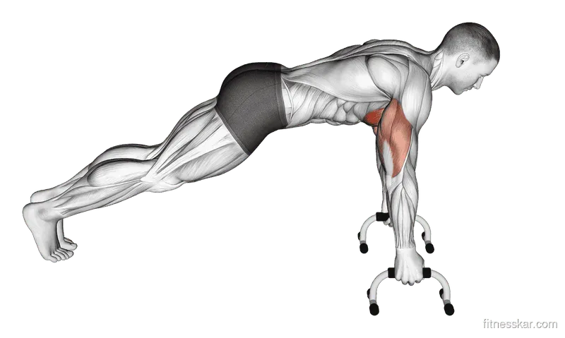 Push-up (With Push-up Handles)
