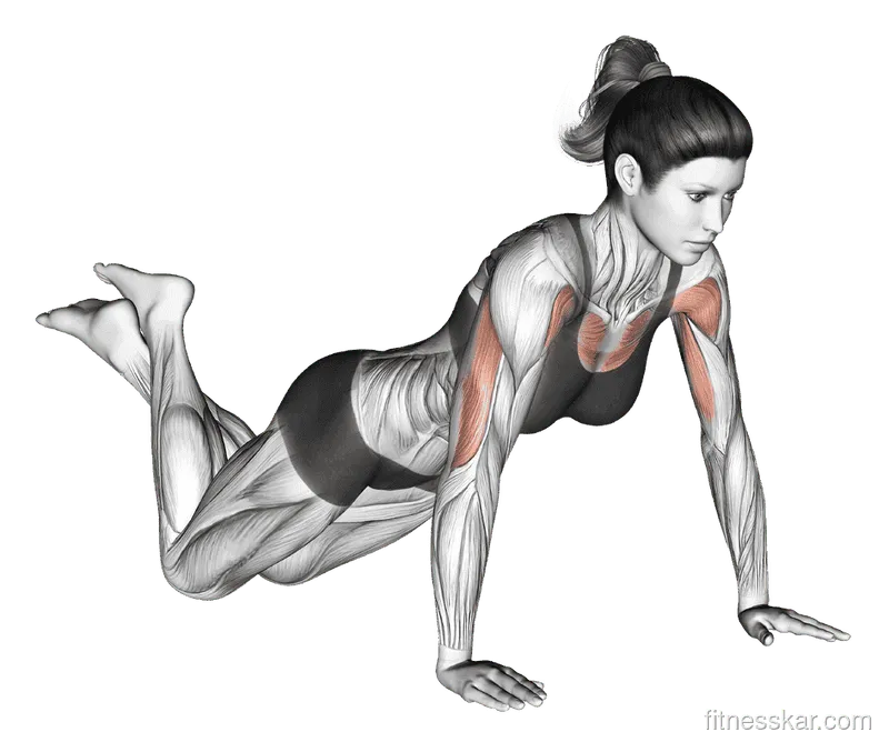 Push-up (on knees)