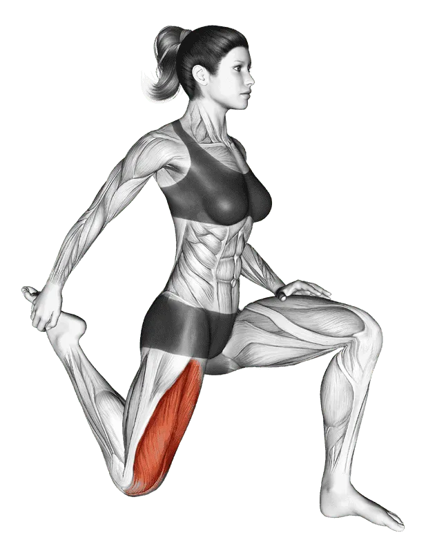 Quadriceps Stretch