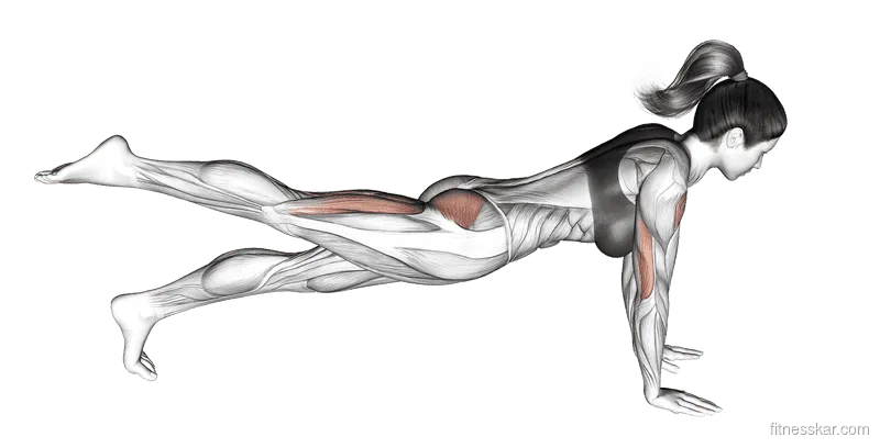 Raise Single Leg Push-up, Female demonstration, Start