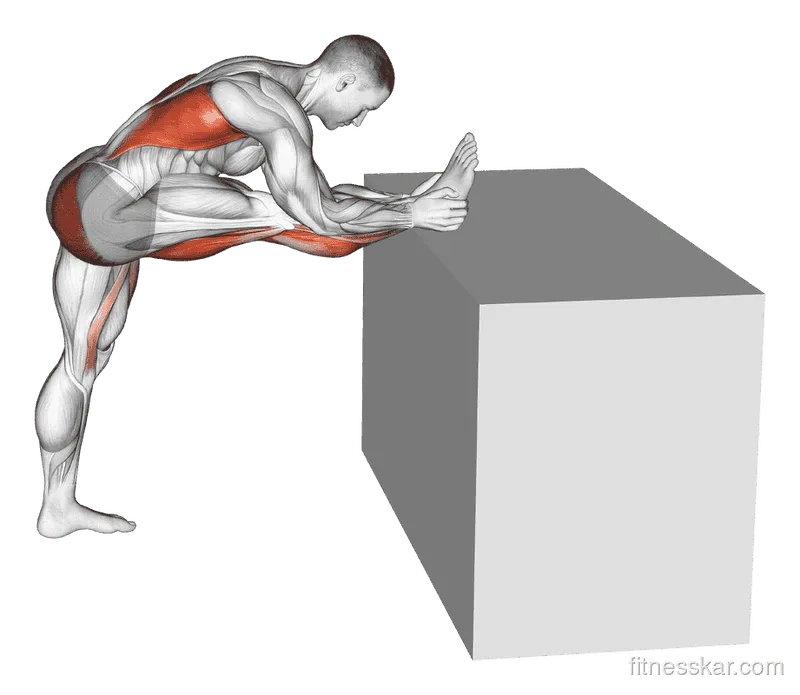 Raised Leg Knee Flexor Stretch, Male demonstration, Start
