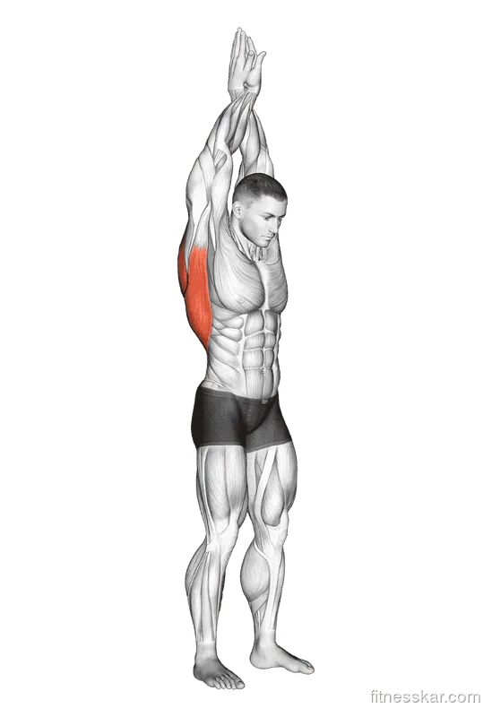 Reach Up Back Stretch
