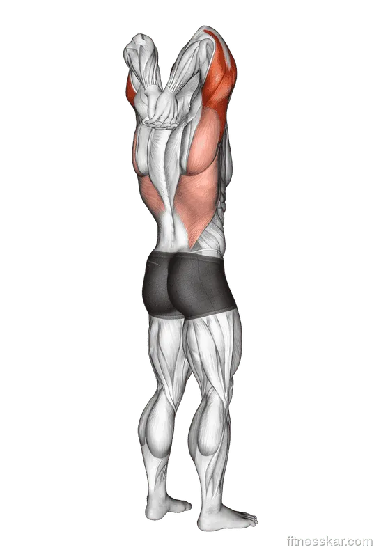 Reaching Down Triceps Stretch