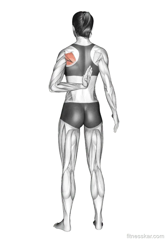 Reaching Up Shoulder Stretch, Female demonstration, Start