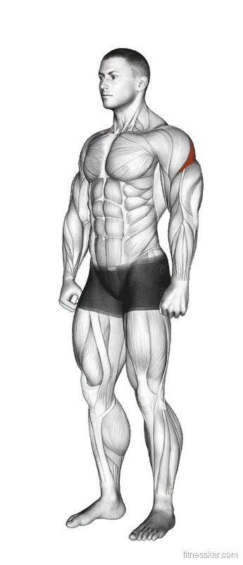 Rear Deltoid Stretch