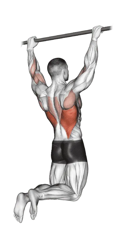 Rear Pull-Up