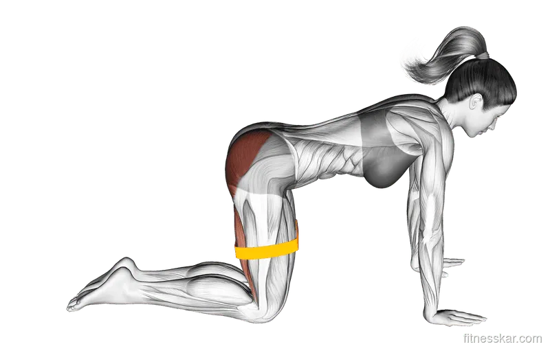 Resistance Band Bent-Leg Kickback (Kneeling), Female demonstration, Start