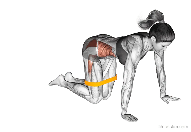 Resistance Band Bent Leg Side Kick (Kneeling), Female demonstration, Start