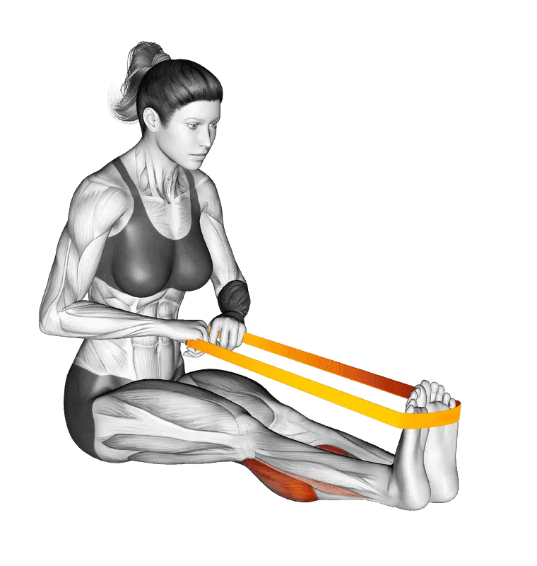 Resistance Band Calf Raise, Female demonstration, Start