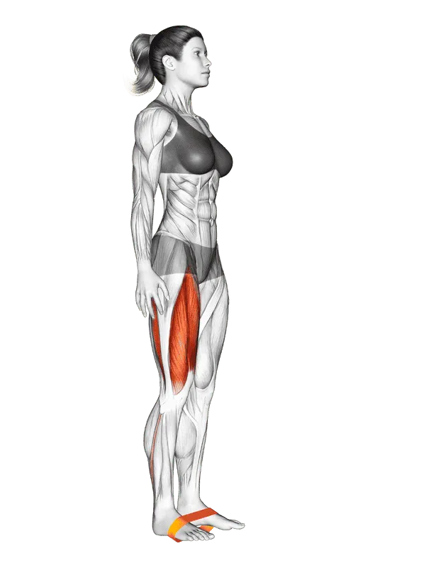 Resistance Band Leg Lift, Female demonstration, Start