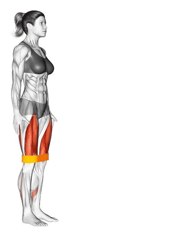 Resistance Band Lunge, Female demonstration, Start