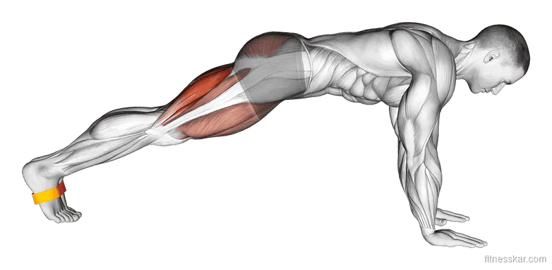 Resistance Band Plank March, Male demonstration, Start
