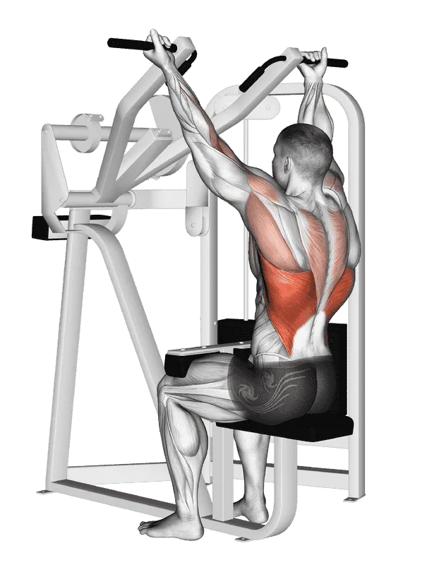 Reverse Grip Machine Lat Pulldown, Male demonstration, Start