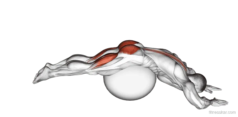 Reverse Hyperextension (on Stability Ball)