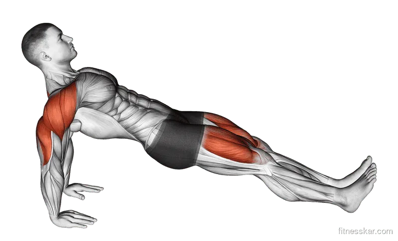 Reverse Plank, Male demonstration, Start