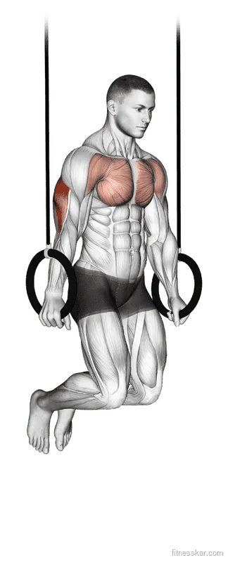 Ring Dips, Male demonstration, Start