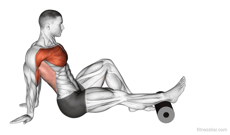 Roll Seated Single Leg Shoulder Flexor Depressor Retractor, Male demonstration, Start