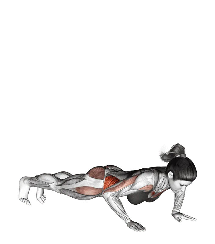 Rotate Push-up (on knees), Female demonstration, Start