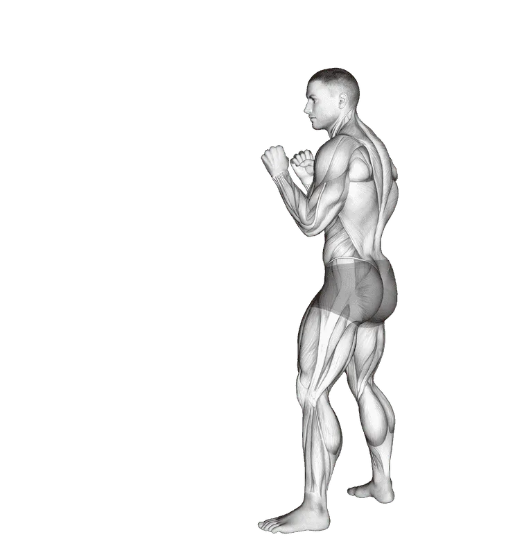 Roundhouse Kick, Male demonstration, Start