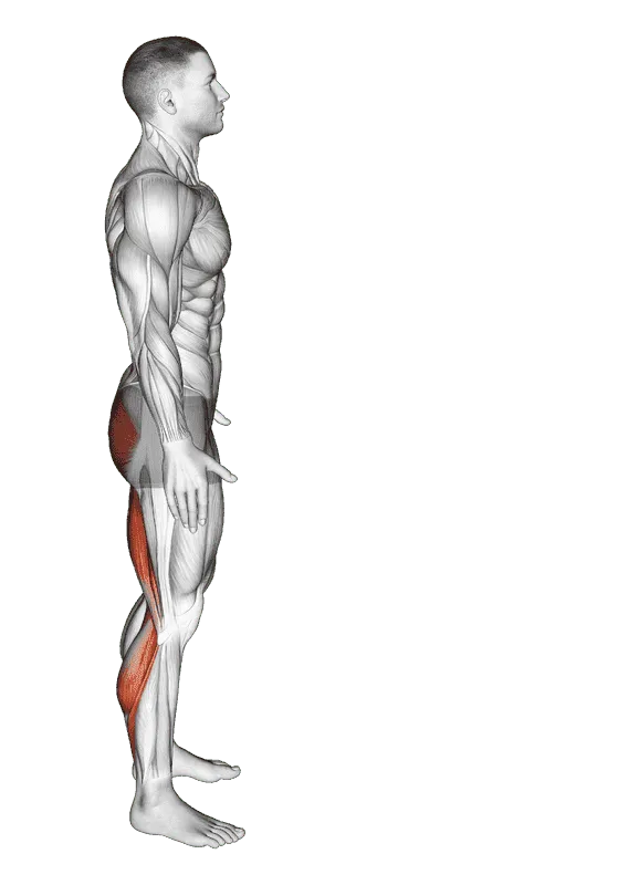 Runner's Stretch, Male demonstration, Start