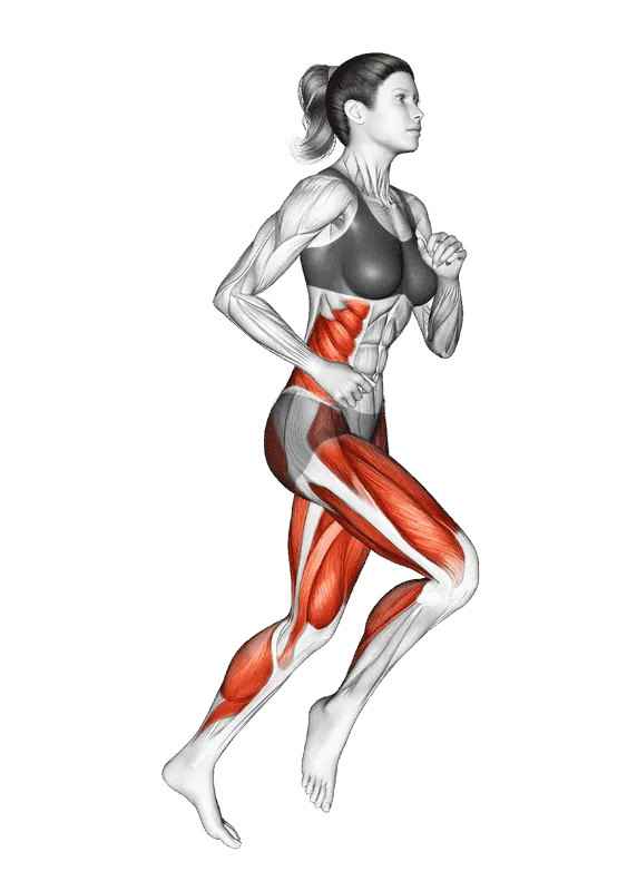 Running, Female demonstration, Start