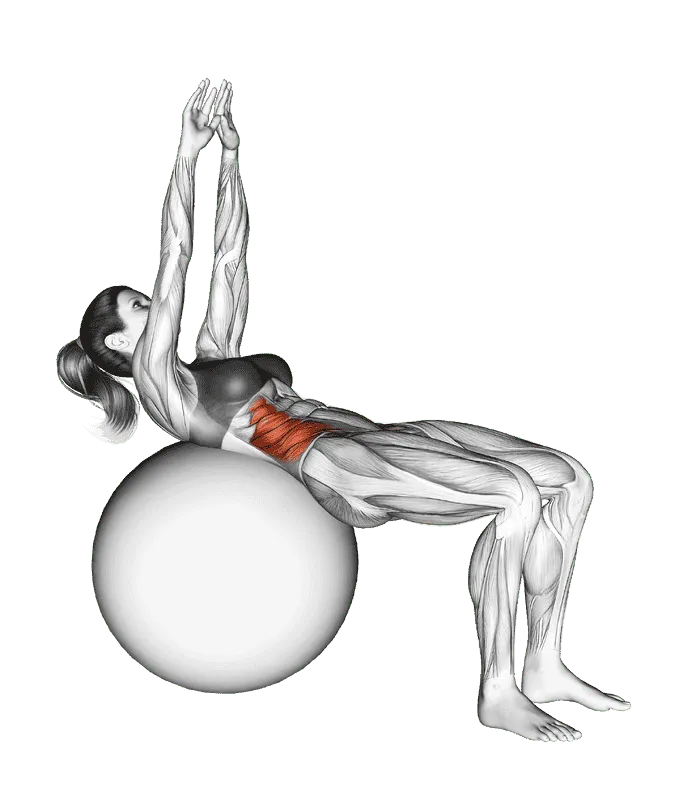 Russian Twist (on stability ball, arms straight)