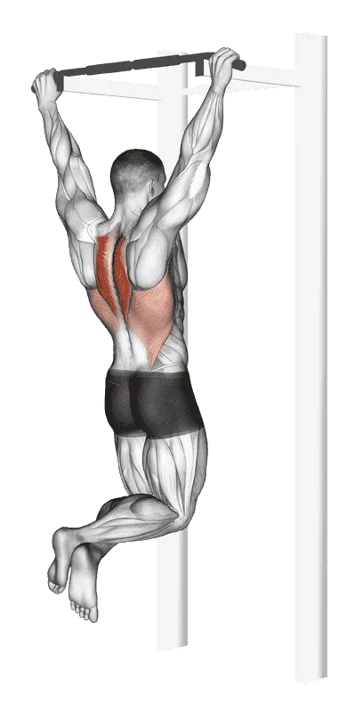 Scapular Pull-Up, Male demonstration, Start